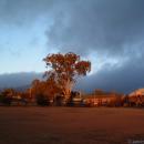 A Winter Sunrise in Tenterfield: snow was falling further south