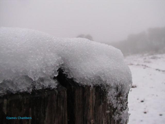 Some accumulation on a fence post. With the 2C temp, and constant drizzle, the snow started to melt.